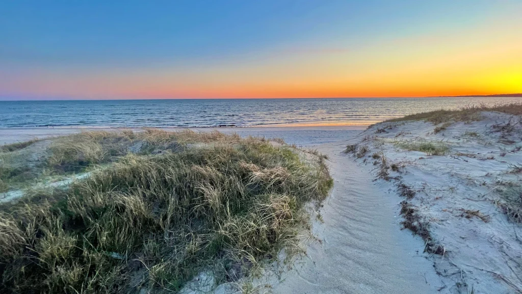 Peaceful sunset landscape
